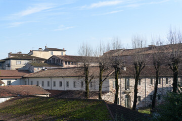 Panoramic view of red-tiled rooftops and bare trees in Lucca, Italy, showing typical Tuscan...