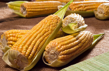 several ears of green corn on jute fabric
