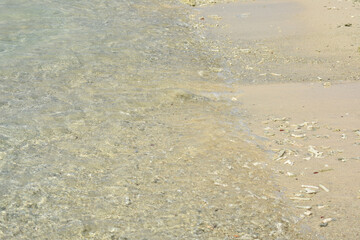Pigeon Island National Park, Trincomalee, Sri Lanka.