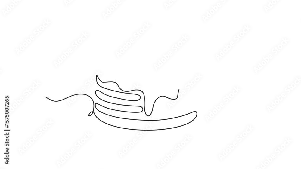 Poster animation of one line drawing of pancakes with strawberries. continuous line self drawing. animated 