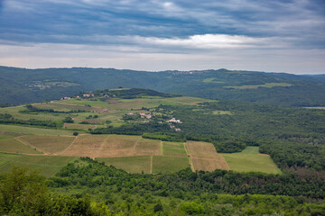 Motovun area vineyards and village views, Croatia.