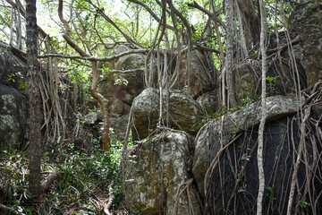 Ancient Stone Caves and Paths in Girihandu Seya, Thiriyai, Trincomalee, Sri Lanka.