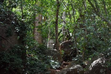 Ancient Stone Caves and Paths in Girihandu Seya, Thiriyai, Trincomalee, Sri Lanka.