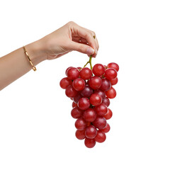 hand holding bunch of red grapes
