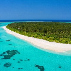 Stunning Aerial View of a Tropical Island Paradise with Lush Greenery and Turquoise Waters