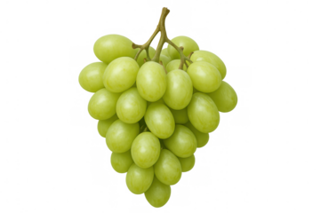 Green grape cluster displaying plump, glossy texture with soft highlights, rendered against transparent background
