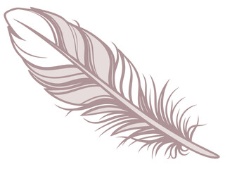 a stylized light brown or greyish-pink feather with defined barbs isolated on a white background 