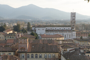 View from Guinigi Tower of San Martino Cathedral in Lucca, Italy, with Romanesque bell tower and...