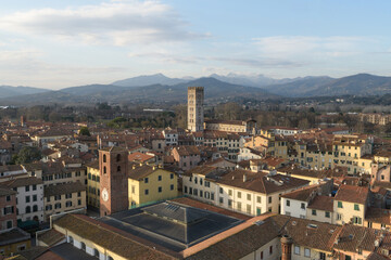 View from Torre delle Ore of Via Fillungo in Lucca, Italy, showing rooftops, medieval towers and Tuscan hills in soft afternoon light.