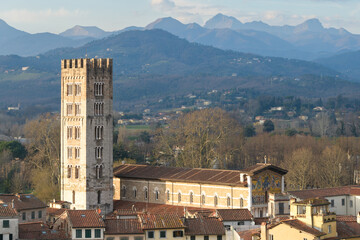 View from Guinigi Tower showing Basilica di San Frediano and bell tower in Lucca, Italy, with Romanesque architecture and Tuscan hills.
