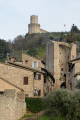 View of Rocca Maggiore fortress above medieval stone houses and cypress trees in Assisi, Umbria,...