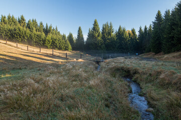 Morning fog in a quiet valley