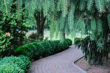 A winding paved path leads through a lush garden, framed by vibrant green conifers and manicured...