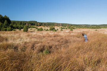 Wild natural landcape in Czech Republic