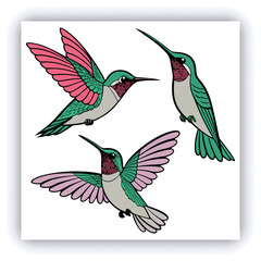 Giant Hummingbird, Patagona Gigas, golden brown bird in flight with a long beak next to pink flowers.