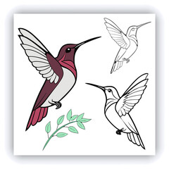 Giant Hummingbird, Patagona Gigas, golden brown bird in flight with a long beak next to pink flowers.