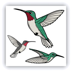 Obraz premium Giant Hummingbird, Patagona Gigas, golden brown bird in flight with a long beak next to pink flowers.