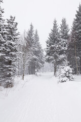 White winter landscape with snow covered trees