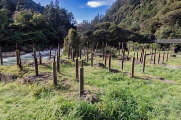 River runs through the Karangahake Gorge, New Zealand, where gold was mined. The remaining posts...