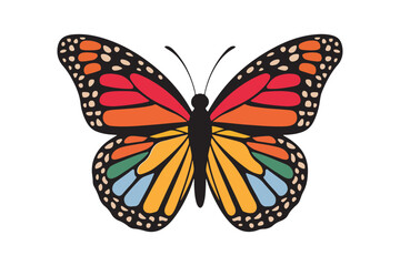Colorful monarch butterfly illustration with detailed wing patterns