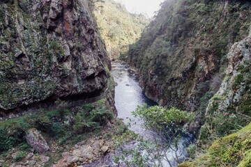 A scenic view of a river flowing through a gorge in The Crown Mines, Karangahake, Coromandel...