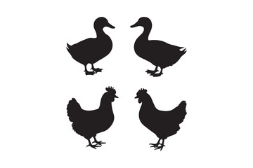 Black silhouettes of two ducks and two chickens facing each other