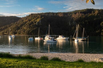 Sailboats and yachts rest in a calm bay near a lush, green hillside in Whangamata, Coromandel...