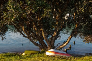 Two dinghies rest under a Pohutukawa tree on a grassy bank next to calm water in Whangamata,...