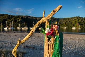 Driftwood art on a beach in Whangamata, Coromandel Peninsula, New Zealand. A weathered log adorned...