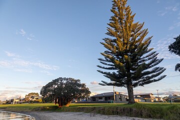 Coastal scene in Whangamata, Coromandel Peninsula, New Zealand featuring a sandy beach, calm water,...