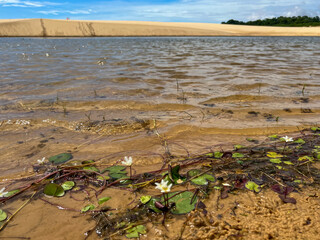 Brazil, Atins - 2023, May:  sand dunes and lagoon in Lençóis Maranhenses
