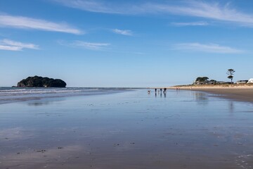 People walk their dogs on the beach in Whangamata, Coromandel Peninsula, New Zealand. They are enjoying the sunshine and the beautiful scenery.