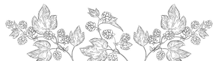 Watercolor banner border background featuring hop branches with cones and leaves, ideal for beer branding, brewing presentations, brewery ads, or botanical and floral themed designs. Floral, leaves.
