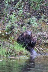 Yukon Territories, Canada