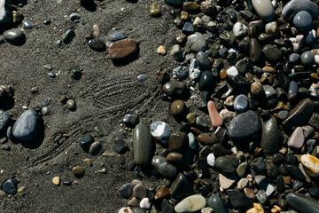 glossy stones washed by the sea wave shine from the rays of the sun on a summer day. pebbles on the city beach.the concept of environmental protection from pollution by petroleum products and plastics