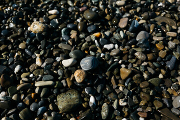 glossy stones washed by the sea wave shine from the rays of the sun on a summer day. pebbles on the city beach.the concept of environmental protection from pollution by petroleum products and plastics