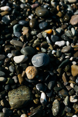 glossy stones washed by the sea wave shine from the rays of the sun on a summer day. pebbles on the city beach.the concept of environmental protection from pollution by petroleum products and plastics