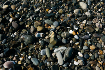 glossy stones washed by the sea wave shine from the rays of the sun on a summer day. pebbles on the city beach.the concept of environmental protection from pollution by petroleum products and plastics