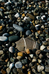 glossy stones washed by the sea wave shine from the rays of the sun on a summer day. pebbles on the city beach.the concept of environmental protection from pollution by petroleum products and plastics