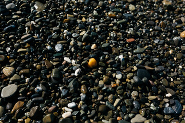 glossy stones washed by the sea wave shine from the rays of the sun on a summer day. pebbles on the city beach.the concept of environmental protection from pollution by petroleum products and plastics
