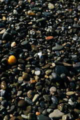 glossy stones washed by the sea wave shine from the rays of the sun on a summer day. pebbles on the city beach.the concept of environmental protection from pollution by petroleum products and plastics