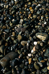 glossy stones washed by the sea wave shine from the rays of the sun on a summer day. pebbles on the city beach.the concept of environmental protection from pollution by petroleum products and plastics