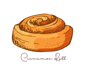 Cinnamon Roll color sketch with inscription, cinnamon bun Pastry sweet bakery. Vector yeast french dough, sweet nutrition snack. Color illustration, hand drawn element for menu, recipes, cookbook