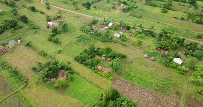 Aerial view of lush farmland and village, Uganda.
