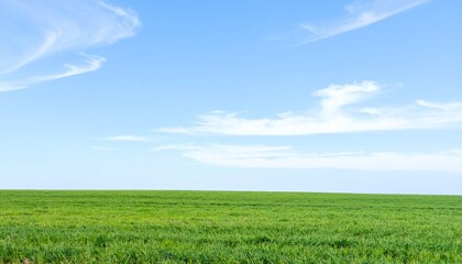 Obraz premium Serene green field stretches beneath a bright blue sky with wispy clouds, evoking tranquility and open space.