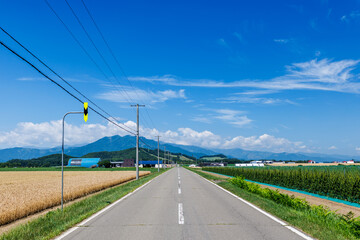 青空と一本道