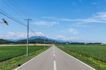 青空と一本道