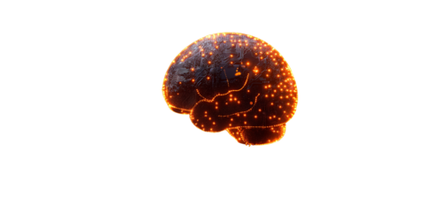 Give real effect from photo. Transparent PNG.  Glowing digital brain with neural light nodes on white background. Perfect for technology, artificial intelligence, or neuroscience themes.