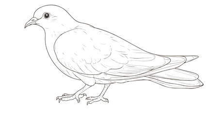 Little Dove Cartoon Character Coloring Page for Creative Projects