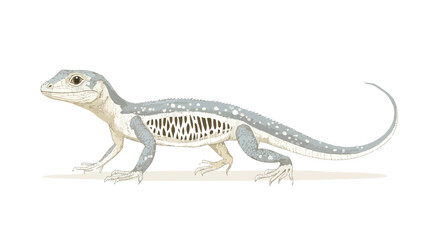 Unique Lizard with Transparent Tail Displaying Scales